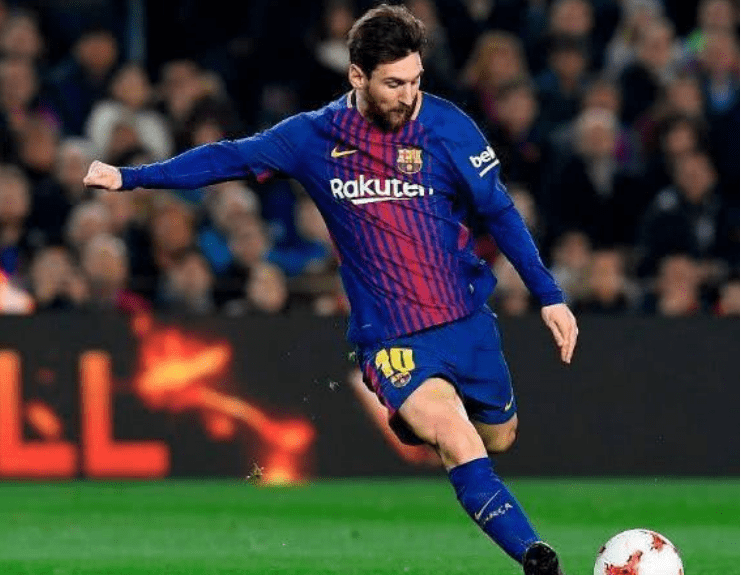 冠预测中 冠预测中